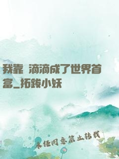 我靠開滴滴成了世界首富