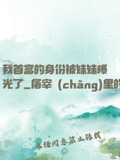 我首富的身份被妹妹曝光了