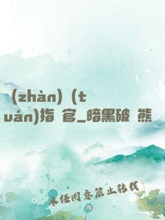 戰(zhàn)團(tuán)指揮官