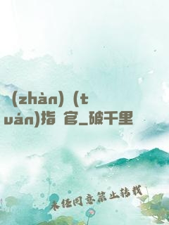 戰(zhàn)團(tuán)指揮官