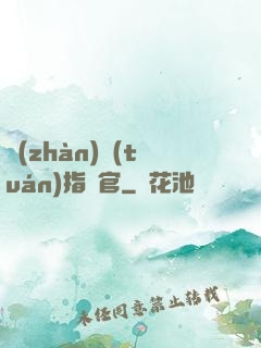 戰(zhàn)團(tuán)指揮官