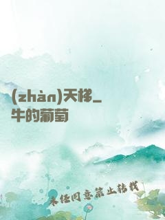 戰(zhàn)天梯