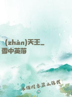 戰(zhàn)天王
