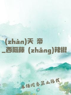 戰(zhàn)天龍帝