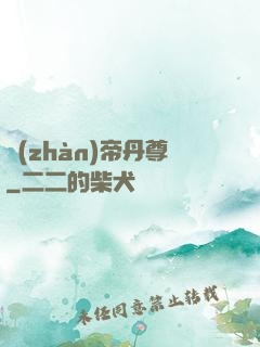 戰(zhàn)帝丹尊