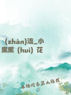 戰(zhàn)流