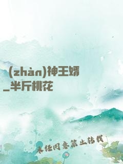 戰(zhàn)神王婿
