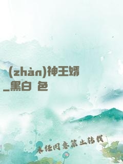 戰(zhàn)神王婿