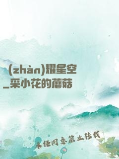 戰(zhàn)耀星空