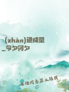 戰(zhàn)道成圣