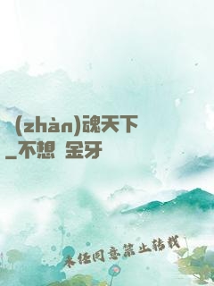 戰(zhàn)魂天下
