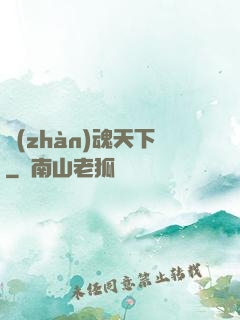 戰(zhàn)魂天下