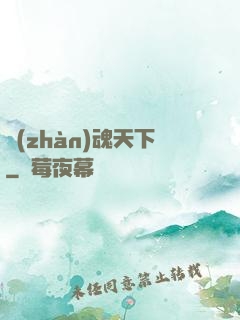 戰(zhàn)魂天下