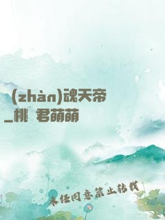 戰(zhàn)魂天帝