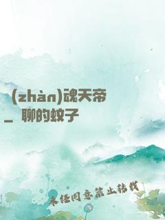 戰(zhàn)魂天帝