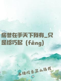 房爹在手天下我有
