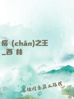 房產(chǎn)之王