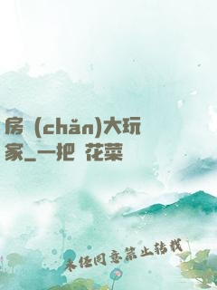 房產(chǎn)大玩家