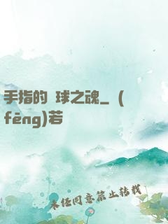 手指的籃球之魂