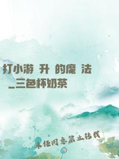 打小游戲升級的魔劍法師