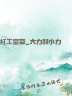 打工皇帝
