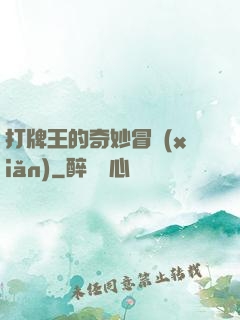 打牌王的奇妙冒險(xiǎn)