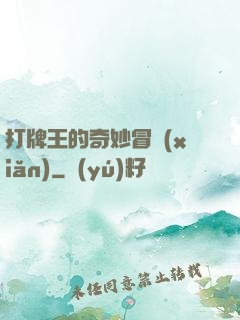 打牌王的奇妙冒險(xiǎn)