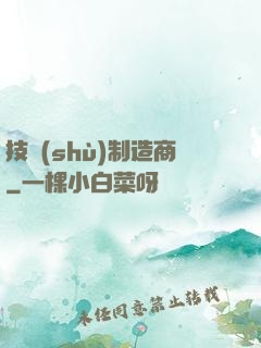 技術(shù)制造商