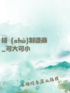 技術(shù)制造商