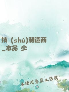 技術(shù)制造商