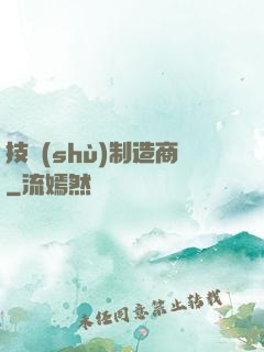 技術(shù)制造商