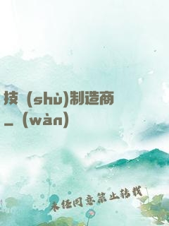 技術(shù)制造商