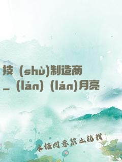 技術(shù)制造商