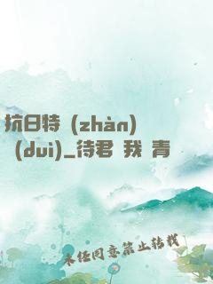 抗日特戰(zhàn)隊(duì)