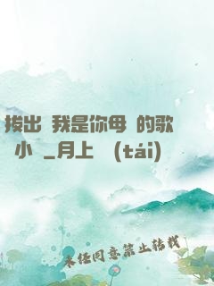 拔出來我是你母親的歌詞小說