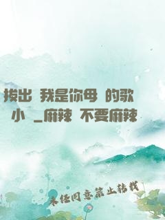 拔出來我是你母親的歌詞小說