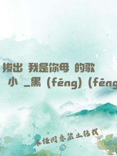 拔出來我是你母親的歌詞小說