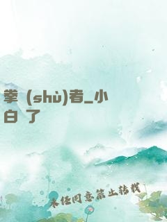 拳術(shù)者