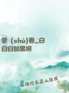 拳術(shù)者