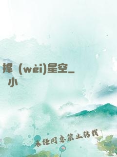 捍衛(wèi)星空