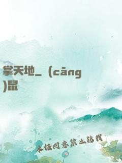 掌天地