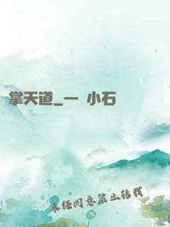掌天道