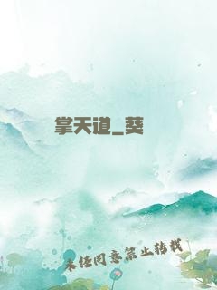 掌天道