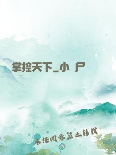 掌控天下