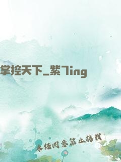 掌控天下