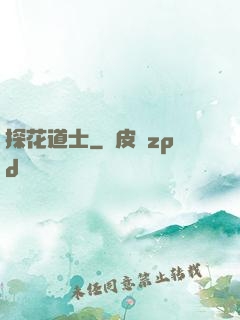 探花道士