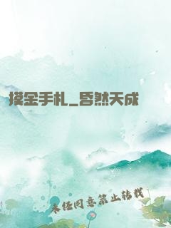 摸金手札