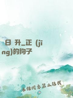 擇日飛升