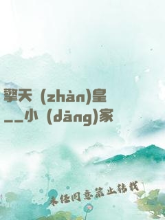 擎天戰(zhàn)皇