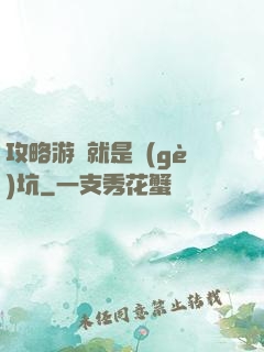 攻略游戲就是個(gè)坑